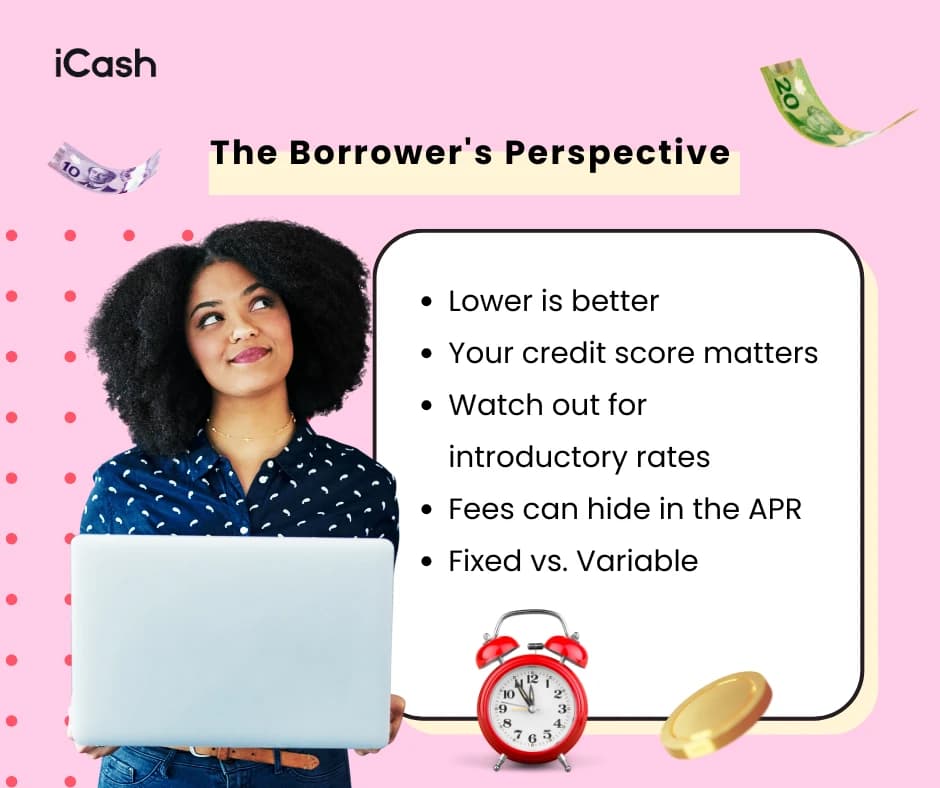 The Borrower's Perspective The Borrower's Perspective